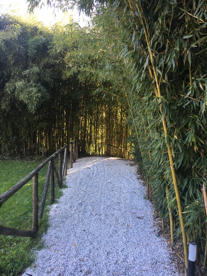 Villa La Bianca カマイオーレ エクステリア 写真